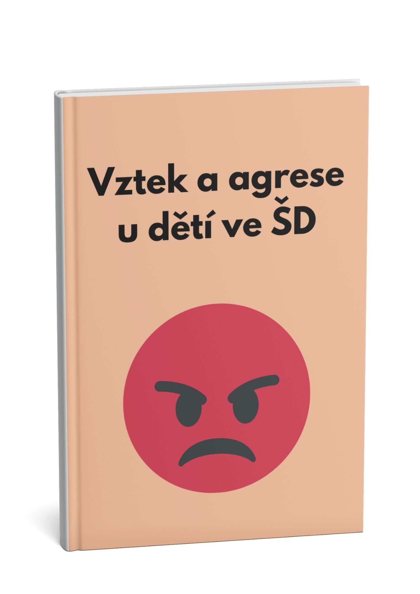 Vztek a agrese u dětí ve školní družině